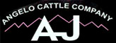 Angelo Cattle Company